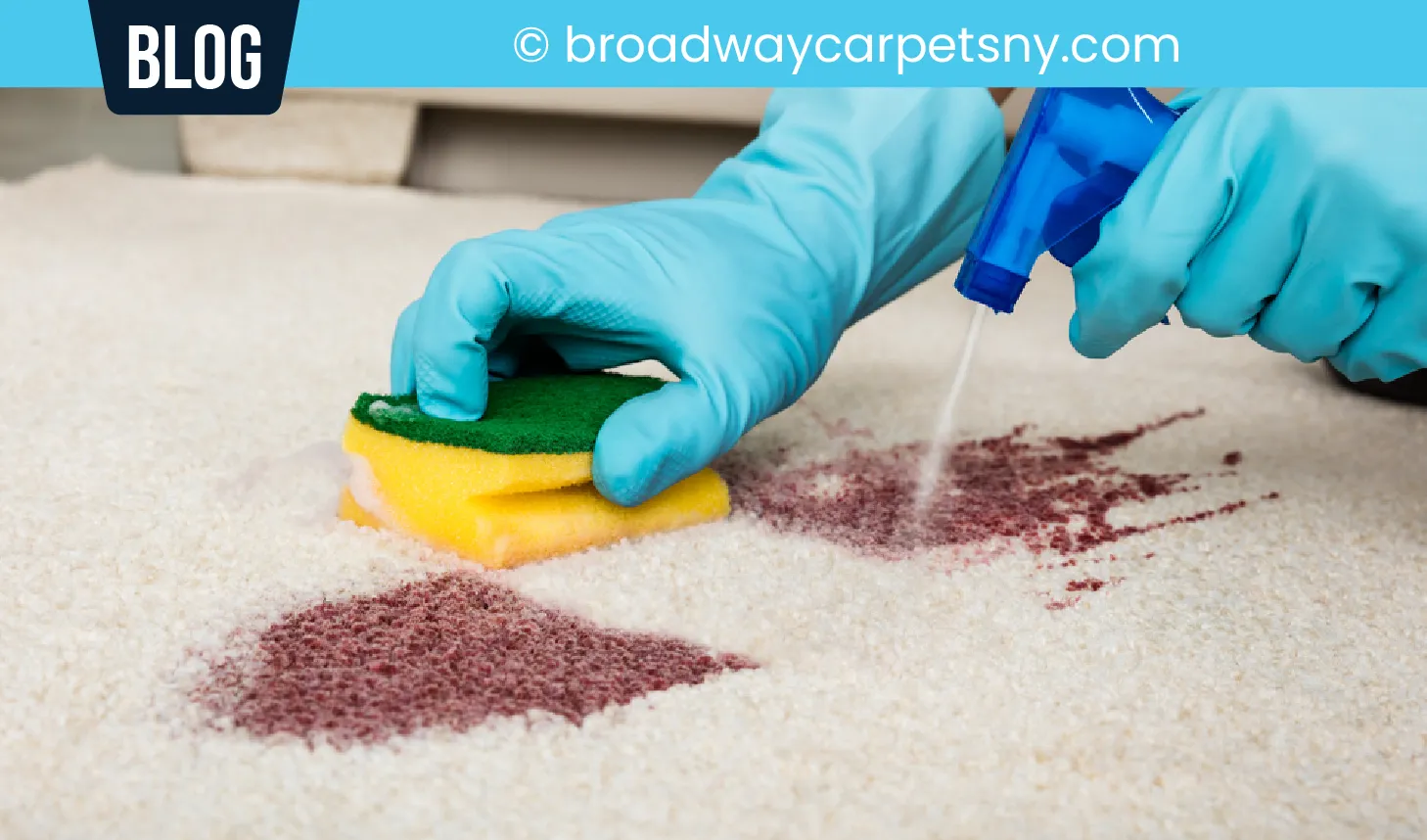 carpet cleaning in new york, carpet cleaning New York, carpet cleaners in New York, commercial carpet cleaning, commercial carpet cleaning in New York, New York rug cleaners, rug cleaning services in New York, same day carpet cleaning, same day rug cleaning, upholstery cleaning services in new york, carpet cleaning services in ny, ny carpet cleaning , rug cleaning ny, upholstery cleaning ny