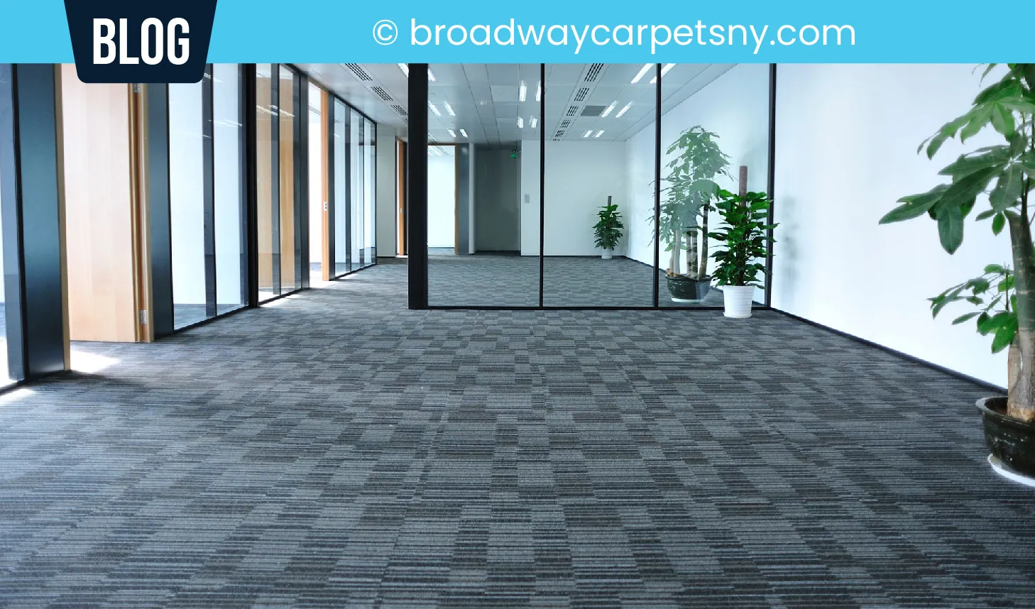 carpet cleaning in new york, carpet cleaning New York, carpet cleaners in New York, commercial carpet cleaning, commercial carpet cleaning in New York, New York rug cleaners, rug cleaning services in New York, same day carpet cleaning, same day rug cleaning, upholstery cleaning services in new york, carpet cleaning services in ny, ny carpet cleaning , rug cleaning ny, upholstery cleaning ny