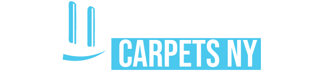 carpet cleaning in new york, carpet cleaning New York, carpet cleaners in New York, commercial carpet cleaning, commercial carpet cleaning in New York, New York rug cleaners, rug cleaning services in New York, same day carpet cleaning, same day rug cleaning, upholstery cleaning services in new york, carpet cleaning services in ny, ny carpet cleaning , rug cleaning ny, upholstery cleaning ny