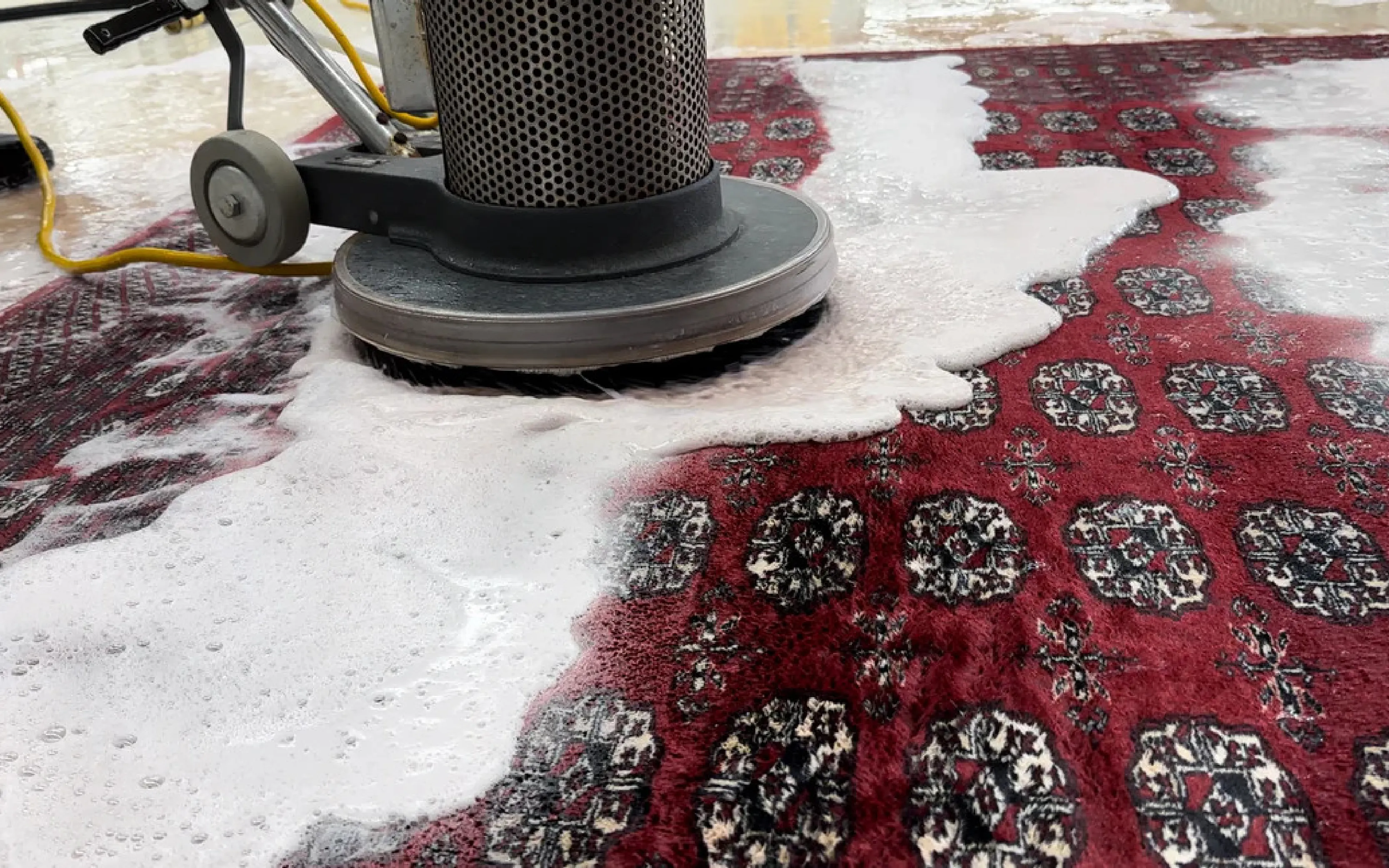 carpet cleaning in new york, carpet cleaning New York, carpet cleaners in New York, commercial carpet cleaning, commercial carpet cleaning in New York, New York rug cleaners, rug cleaning services in New York, same day carpet cleaning, same day rug cleaning, upholstery cleaning services in new york, carpet cleaning services in ny, ny carpet cleaning , rug cleaning ny, upholstery cleaning ny