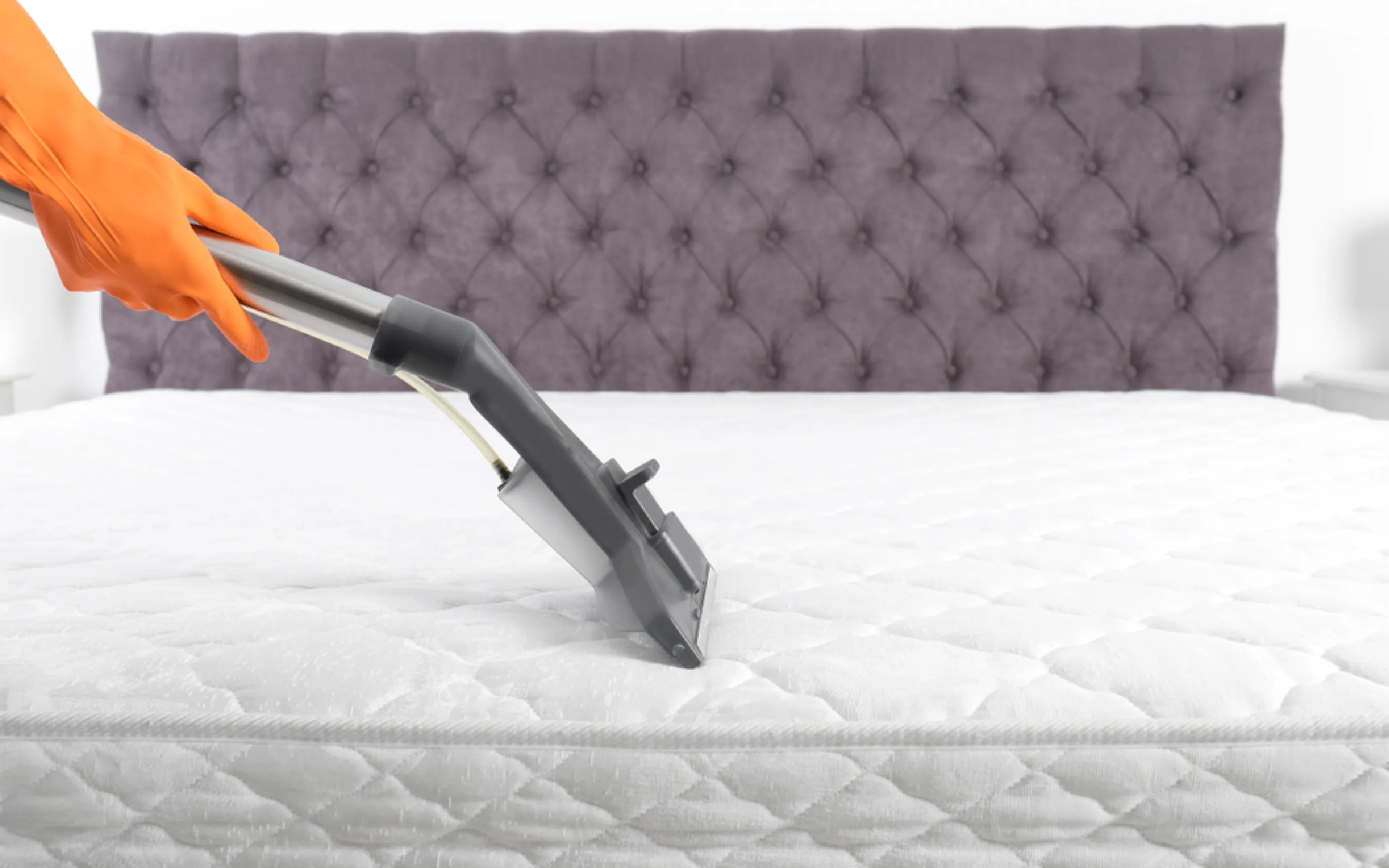 carpet cleaning in new york, carpet cleaning New York, carpet cleaners in New York, commercial carpet cleaning, commercial carpet cleaning in New York, New York rug cleaners, rug cleaning services in New York, same day carpet cleaning, same day rug cleaning, upholstery cleaning services in new york, carpet cleaning services in ny, ny carpet cleaning , rug cleaning ny, upholstery cleaning ny