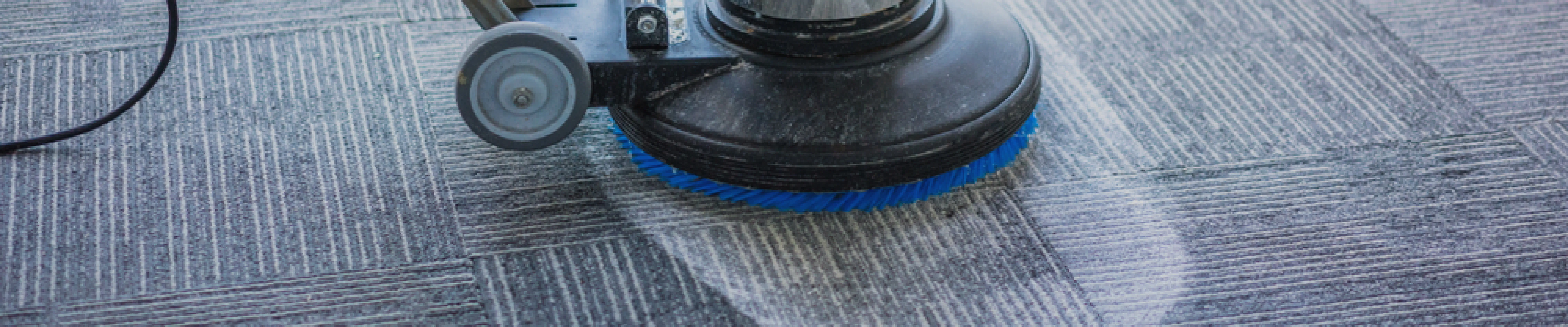 carpet cleaning in new york, carpet cleaning New York, carpet cleaners in New York, commercial carpet cleaning, commercial carpet cleaning in New York, New York rug cleaners, rug cleaning services in New York, same day carpet cleaning, same day rug cleaning, upholstery cleaning services in new york, carpet cleaning services in ny, ny carpet cleaning , rug cleaning ny, upholstery cleaning ny
